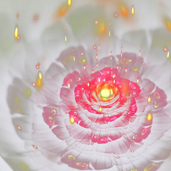 花卉光效免抠