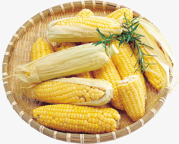 玉米 食品  农产品  玉米粒 水果免抠