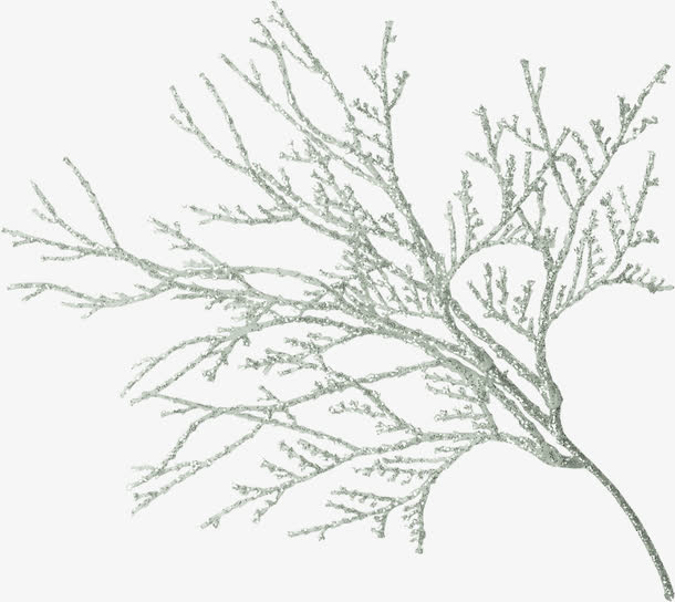 白雪树枝免抠
