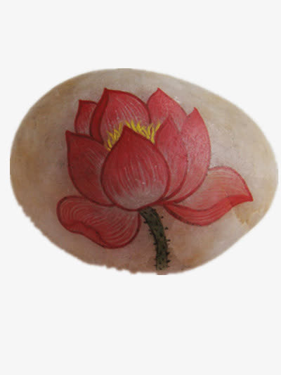 石中红莲免抠