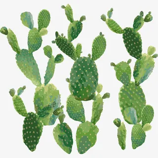 绿色仙人掌免抠