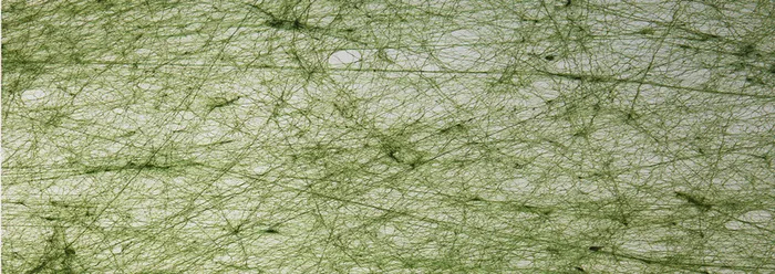 纸纹背景banner高清