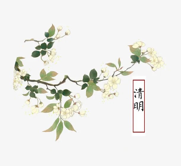 清明桃花免抠