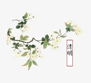 清明桃花免抠