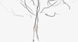 创意树枝卡通绘画免抠