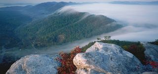 淘宝背景图高清