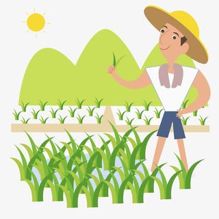 禾苗农民免抠