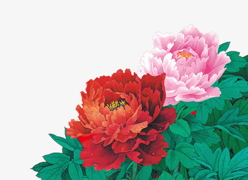 花开富贵免抠