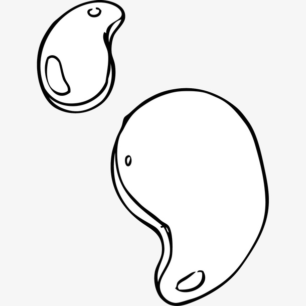 手绘线条画腰果果实插画免抠免抠