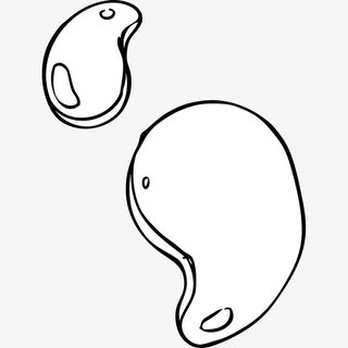 手绘线条画腰果果实插画免抠免抠