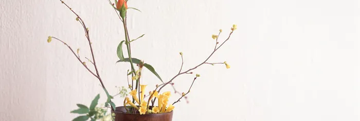 唯品会banner高清