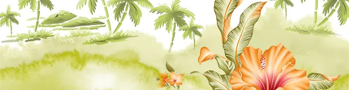 花草高清