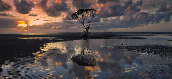 夕阳荒野海报素材高清