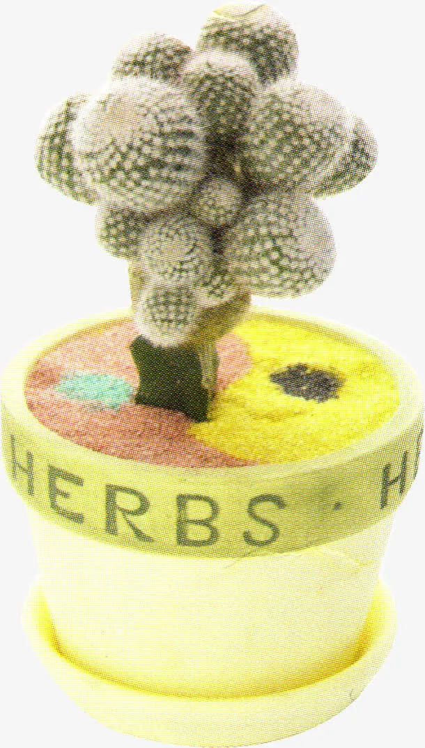 春天仙人掌植物盆栽免抠