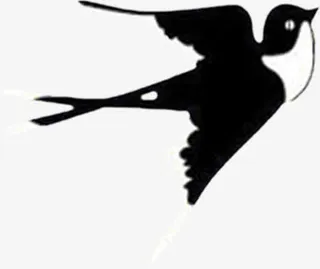 春天黑色清新燕子免抠装饰动物元素