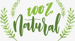 绿色叶子百分百纯天然免抠