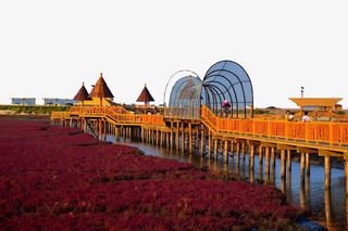 辽宁盘锦红海滩国家风景廊道六免抠
