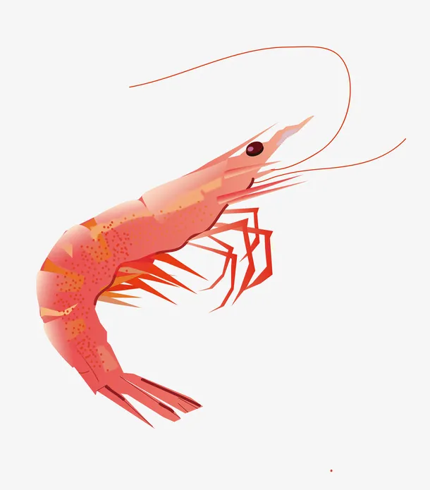 手绘皮皮虾海鲜插画免抠