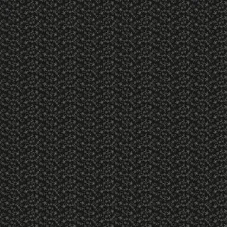 黑色花朵无缝背景