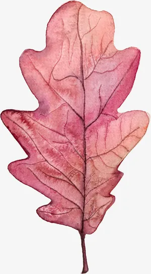 水彩一片红叶免抠