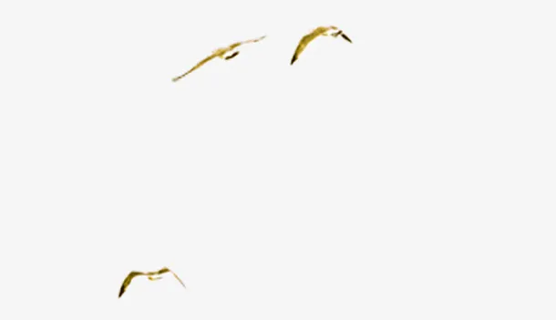 中国风素材漂浮古风素材免抠