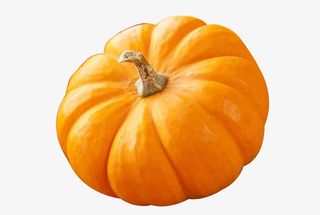 免扣金黄南瓜免抠