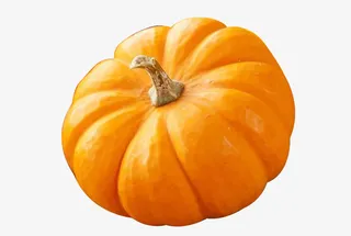 免扣金黄南瓜免抠