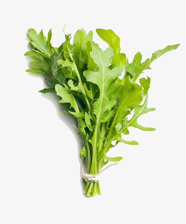 一把芝麻菜摄影免抠