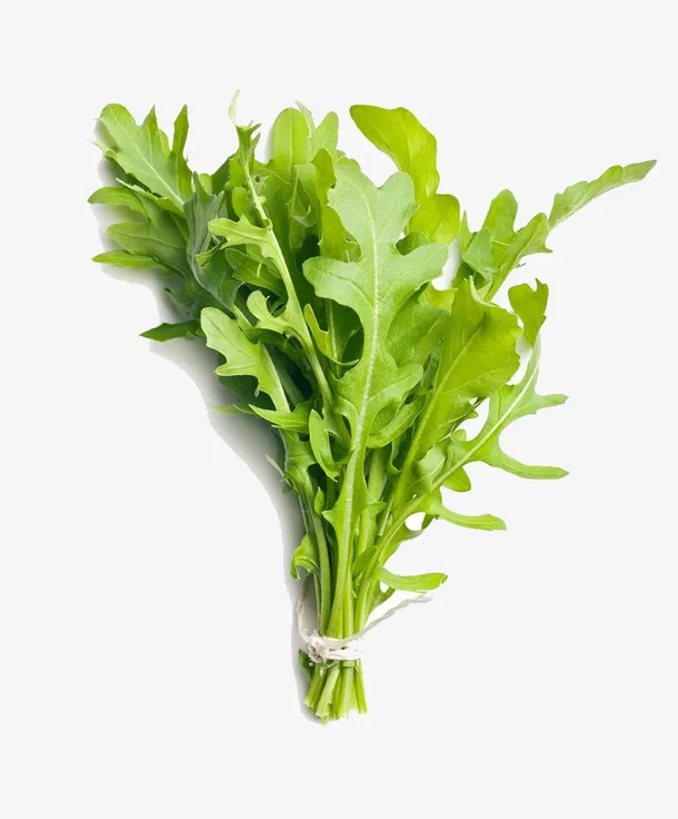 一把芝麻菜摄影免抠