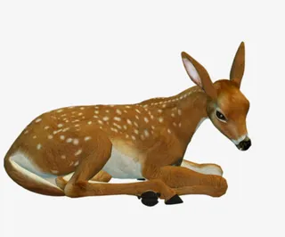 野生小梅花鹿免抠