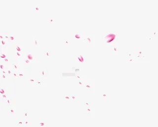飘浮花瓣免抠
