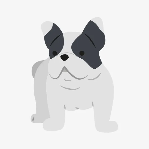 斗牛犬免抠