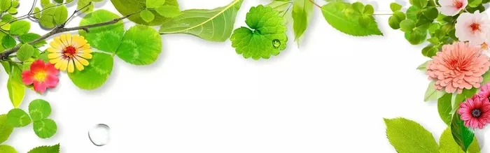 创意自然简约背景高清
