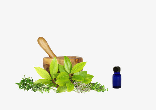 绿色草药植物免抠