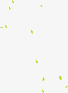 小树叶散落底纹免抠