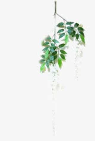 森系树叶婚礼效果免抠