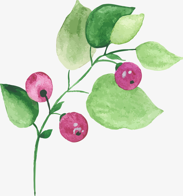 浪漫花朵免抠素材免抠