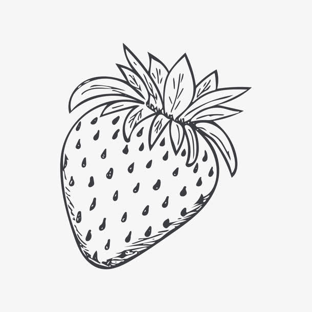 素描草莓免抠
