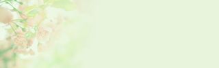 绿色花朵清纯背景banner