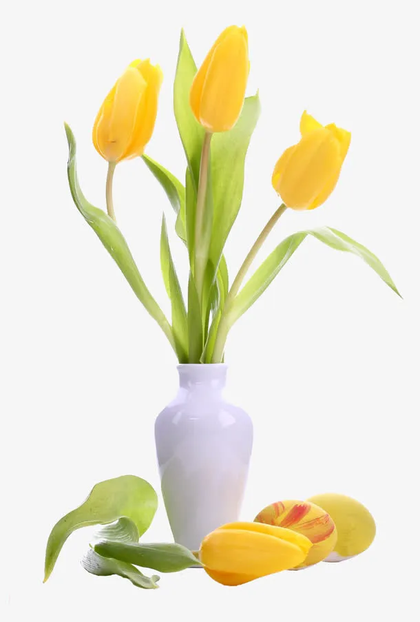 鲜花免抠