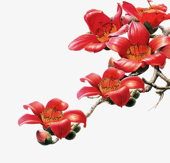 古风的红色的花免抠