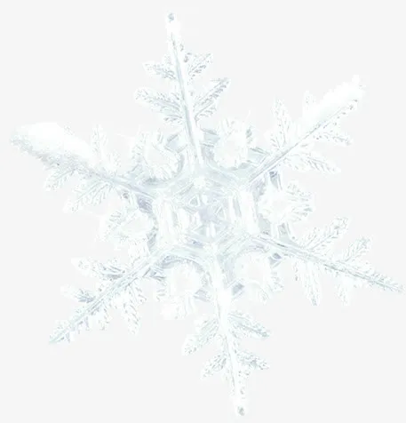 白色唯美冬日晶莹雪花免抠
