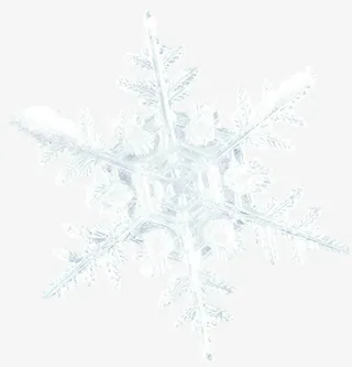 白色唯美冬日晶莹雪花免抠