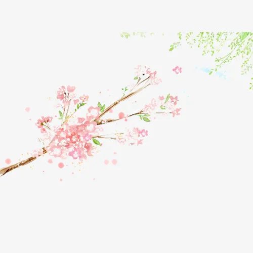 粉色桃花树枝图片免抠