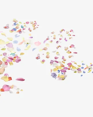 情人节妇女节三八节花瓣免抠