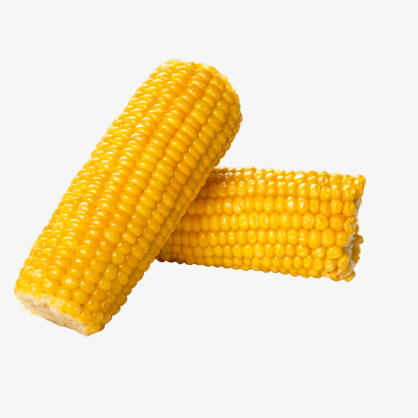 两个半根玉米免抠