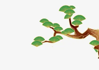 松树，树枝，松枝，手绘免抠