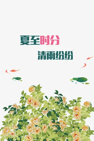 夏至十分清雨纷纷免抠