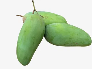 金煌芒大芒果免抠