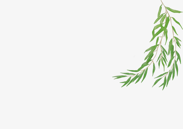 春天的故事柳免抠